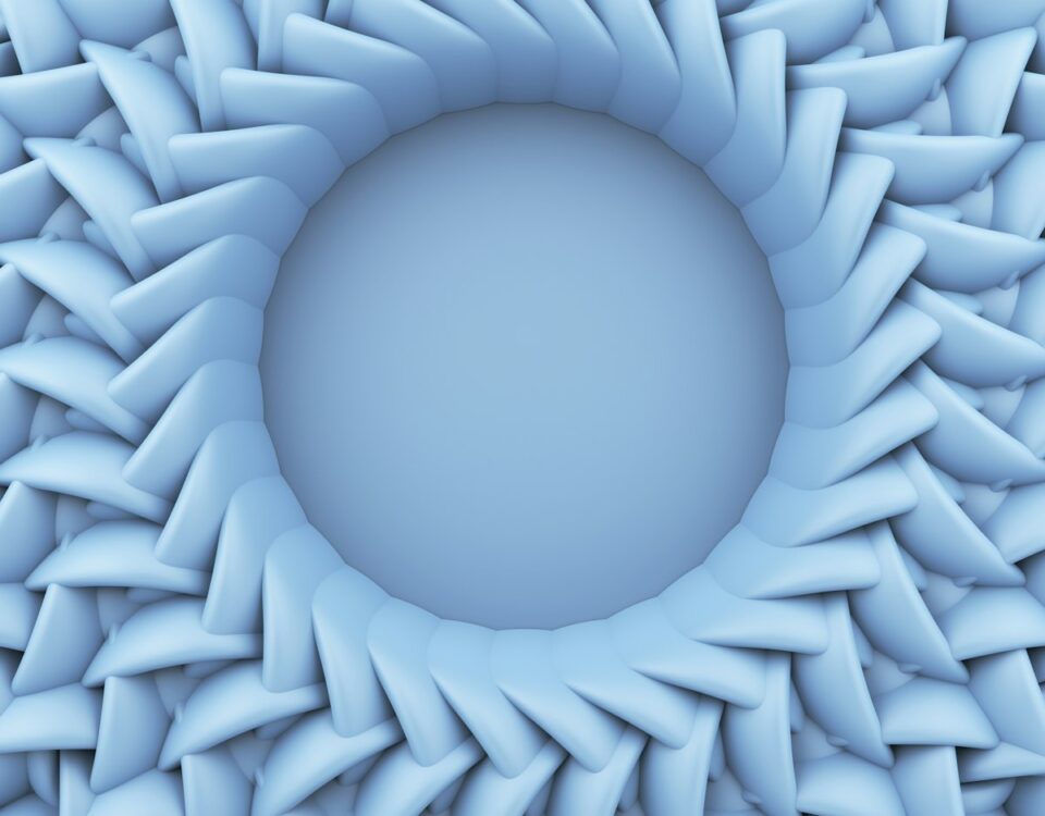 Uitzicht op Nijmegen en de Waal in het voorjaar